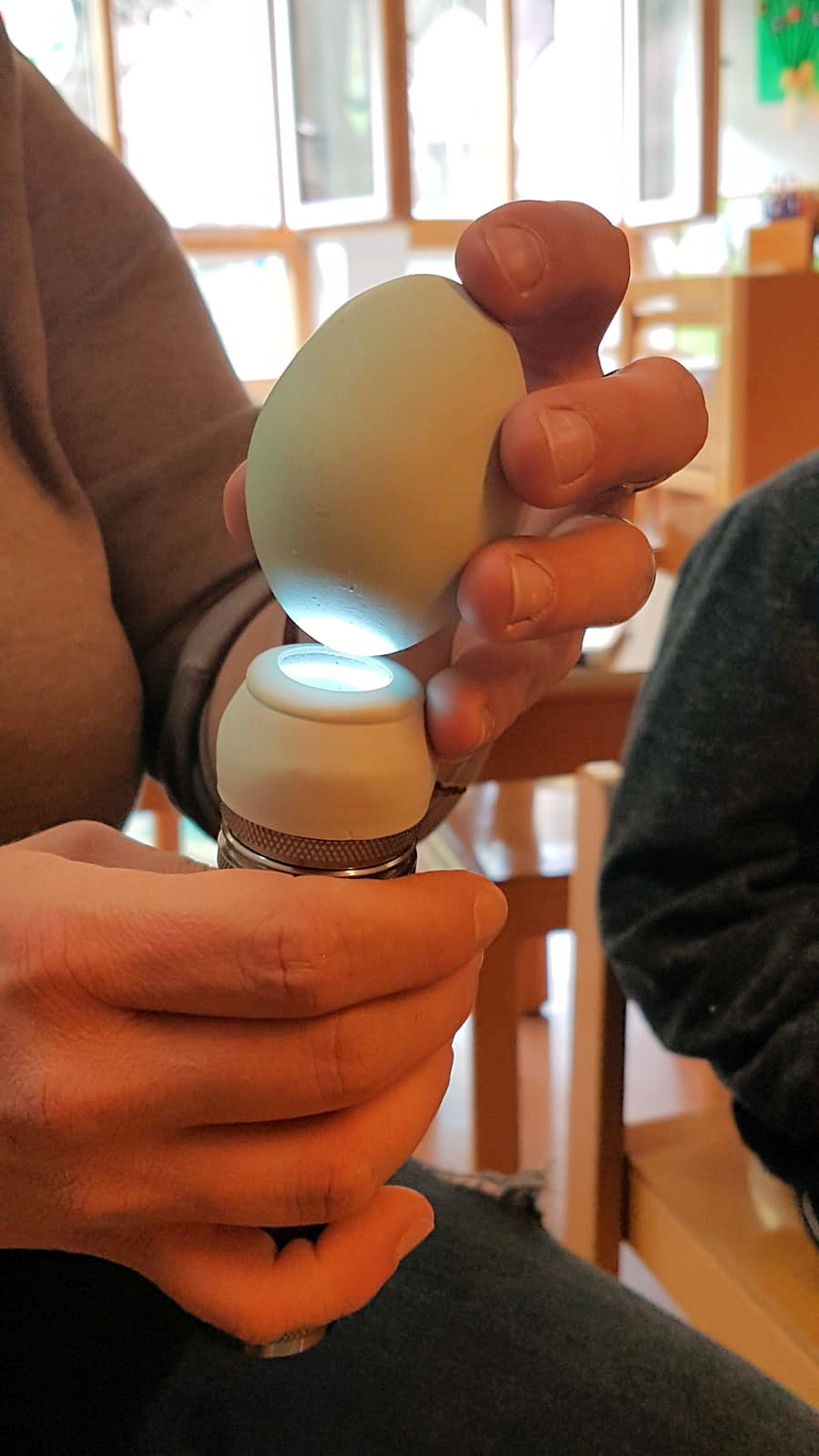 Beim Durchleuchten sieht man, ob ein Ei befruchtet worden ist.