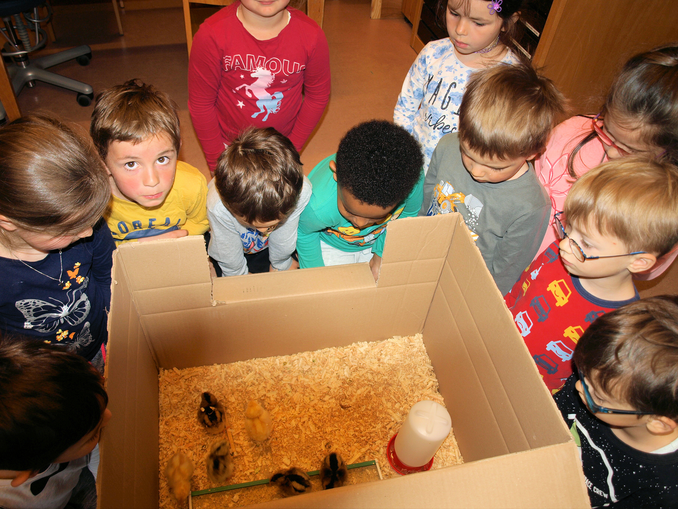 Die Kindergartenkinder sind mächtig stolz auf ihren „tierischen Nachwuchs“