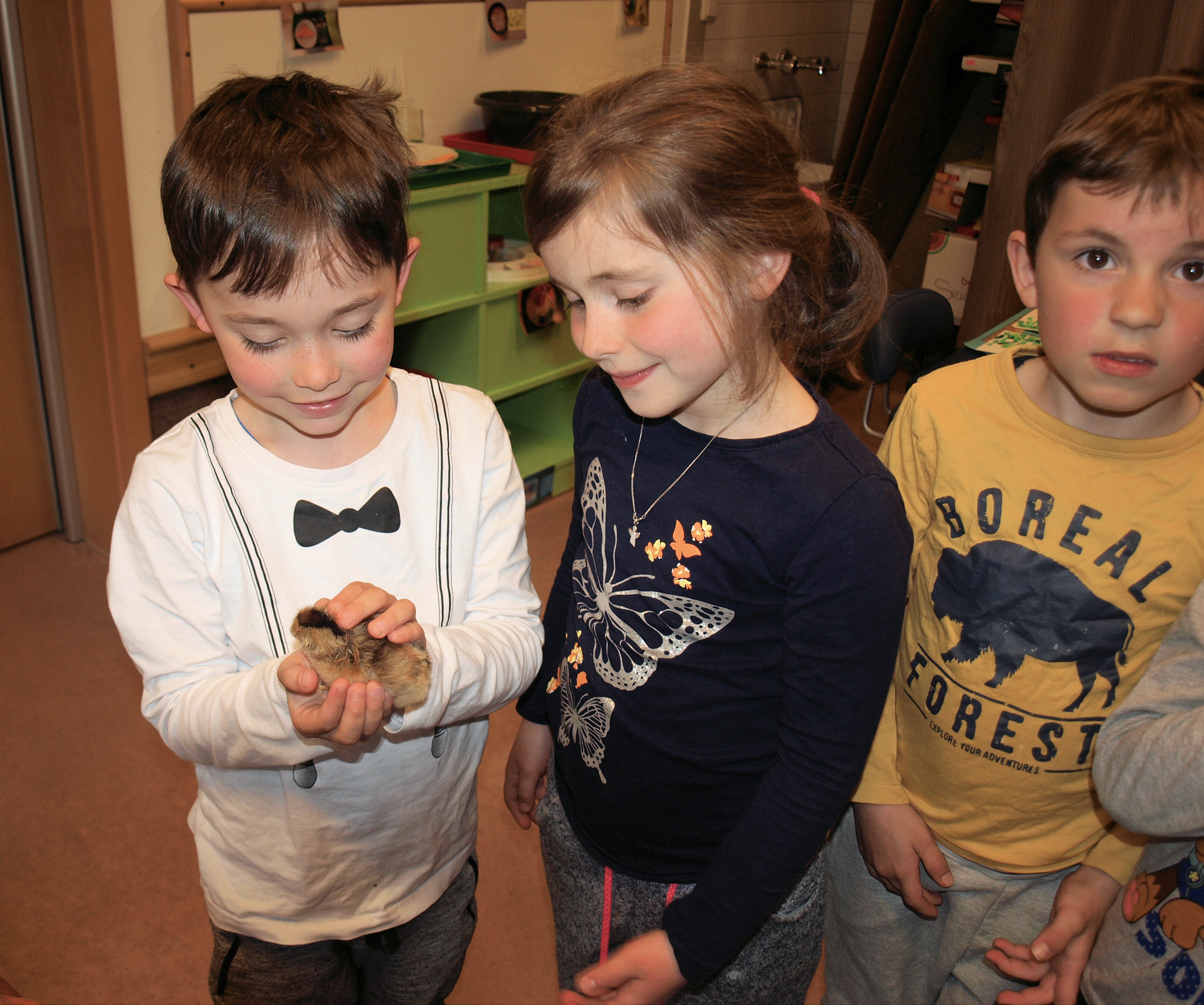 Ganz flauschig fühlen sich die Küken in der Hand an